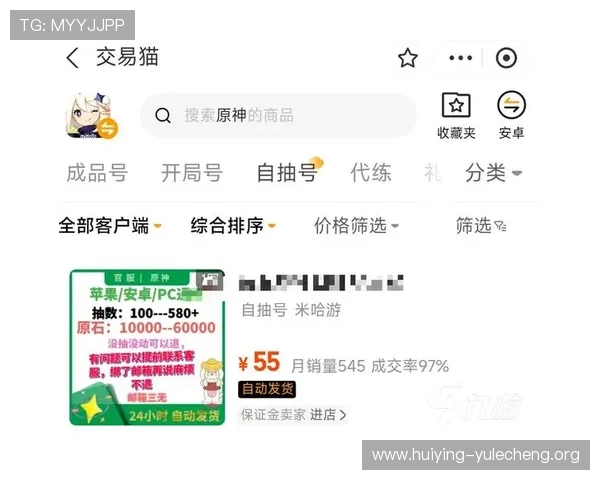 顶上在线娱乐打造安全可靠的游戏平台保障玩家隐私与账号安全的最佳选择